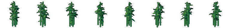 Bamboo from all 8 sides, animated pixel art