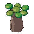 Baobab, pixel-art sprite