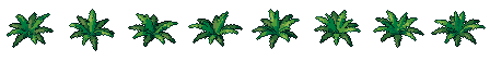 Fern from all 8 sides, animated pixel art