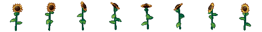 Tournesol sous ses 8 côtés, en pixel art animé