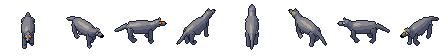 Wolf from all 8 sides, animated pixel art