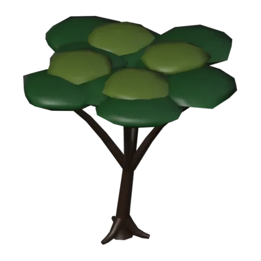 Acacia, 3D model