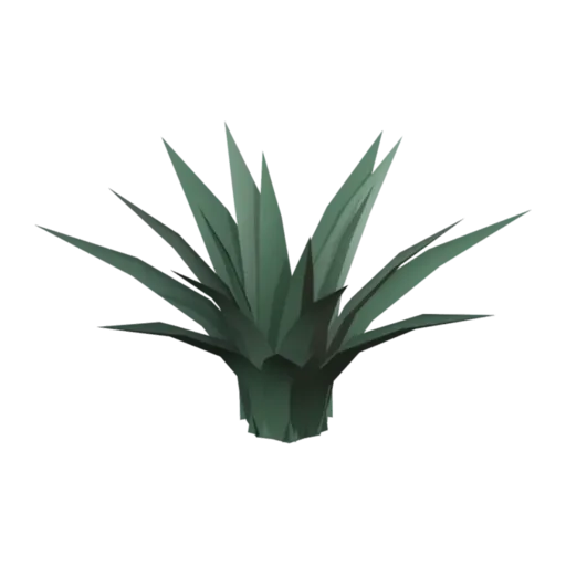 Aloe, 3D model
