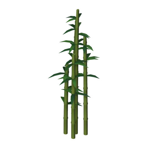 Bamboo, 3D model