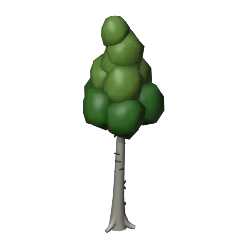 白桦，3D 模型