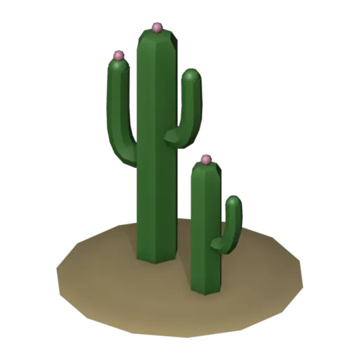 Cactus pair, 3D model