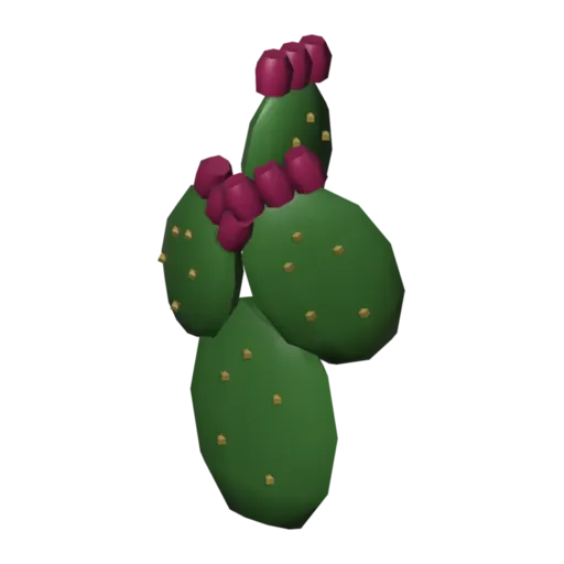 Prickly pear, 3D model