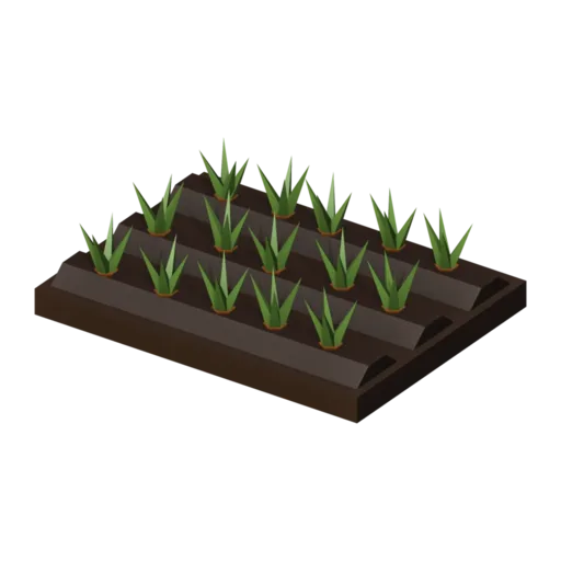 Carrot patch, 3D model