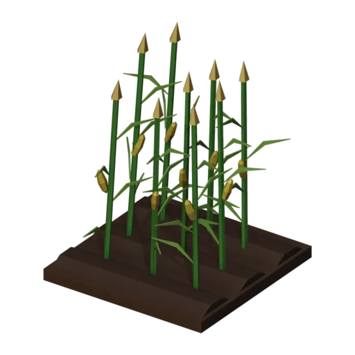 옥수수, 3D 모델