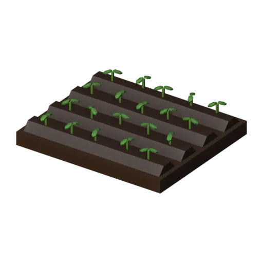 Seedlings, 3D model