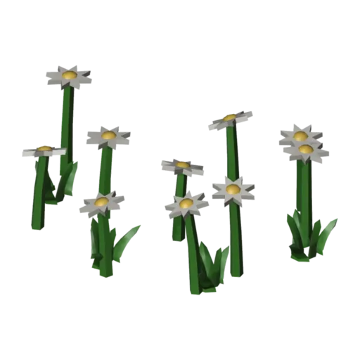 Daisies, 3D model
