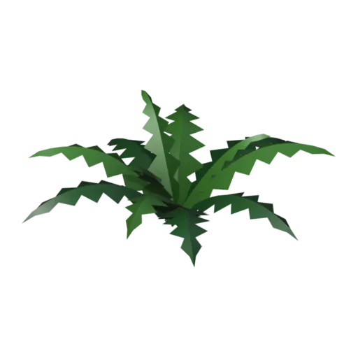 Fern, 3D model