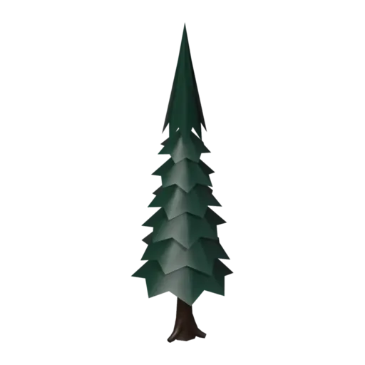 Fir, 3D model