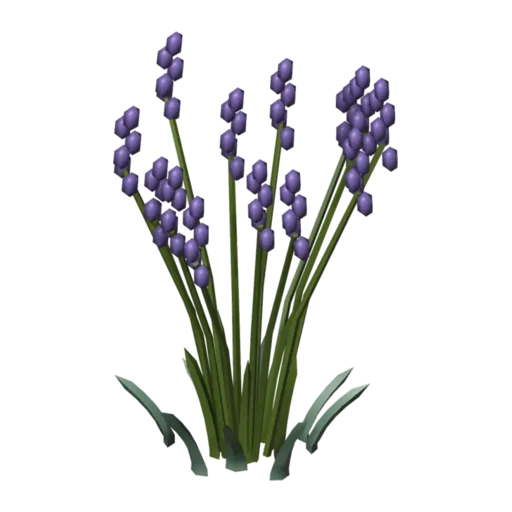 Lavanda, modelo 3D