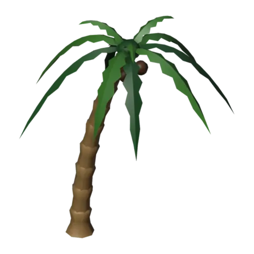 Palm tree, 3D model