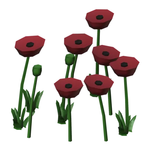 Poppies, 3D model