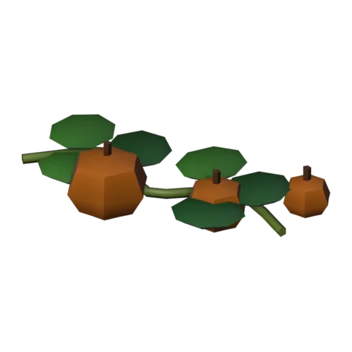 Gourd vine, 3D model