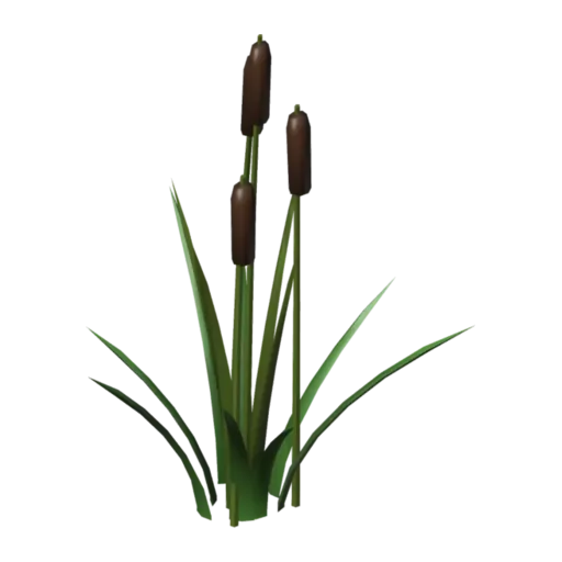 Reeds, 3D model