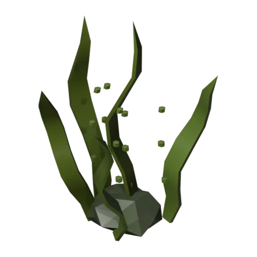 Seaweed, 3D model