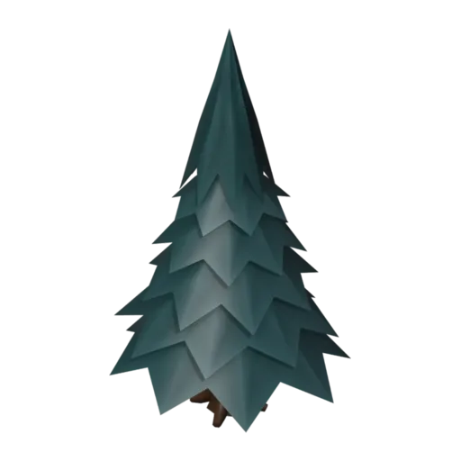 Spruce, 3D model