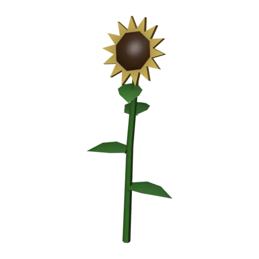 Tournesol, modèle 3D
