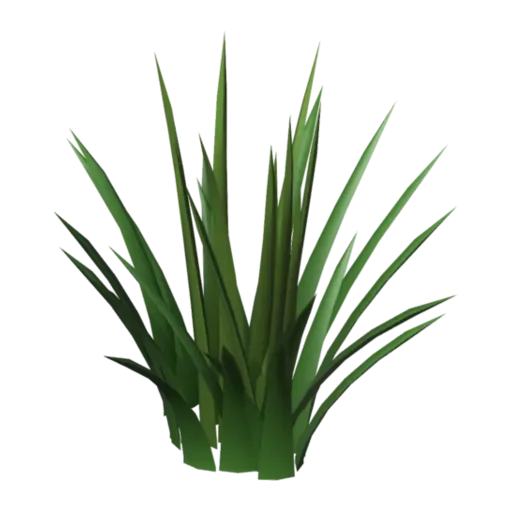 Tall grass, 3D model