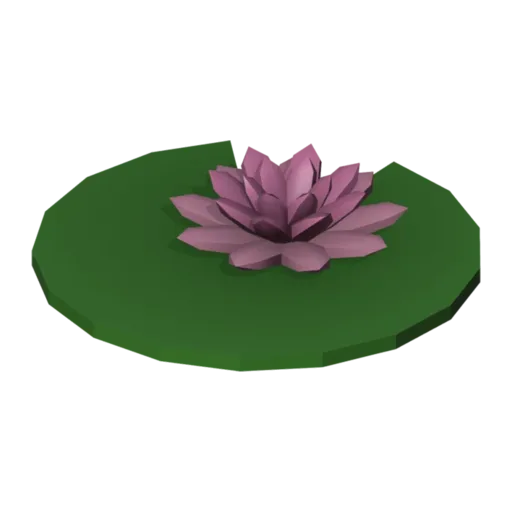 Water lily, 3D model