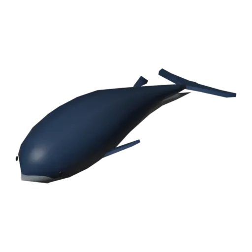 Whale, 3D model