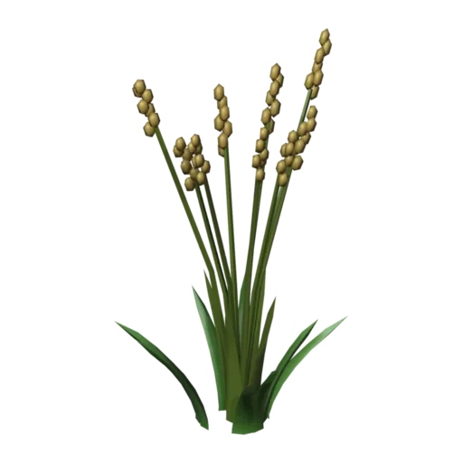 野草,3D 模型